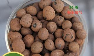 陶粒一般在哪买