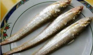 最贵的鱼是什么鱼